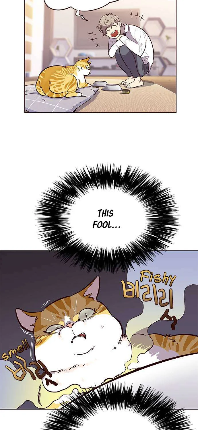 Eleceed Chapter 1.1 page 47 - 