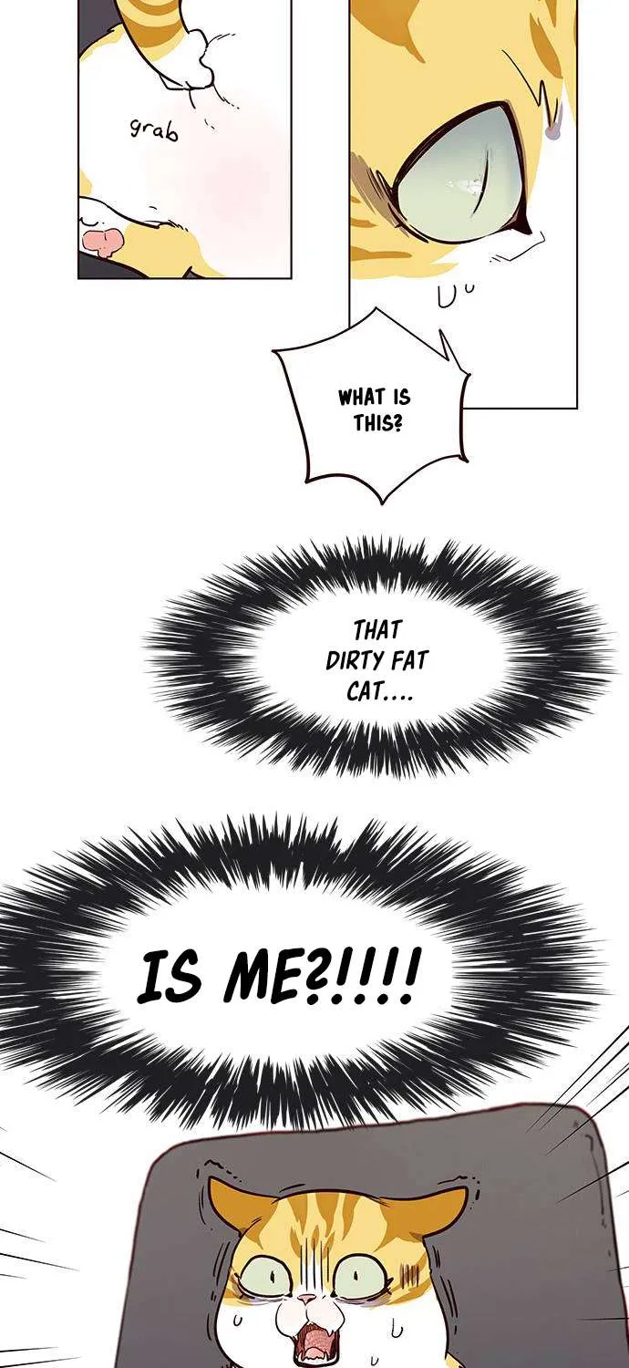 Eleceed Chapter 1.1 page 64 - 