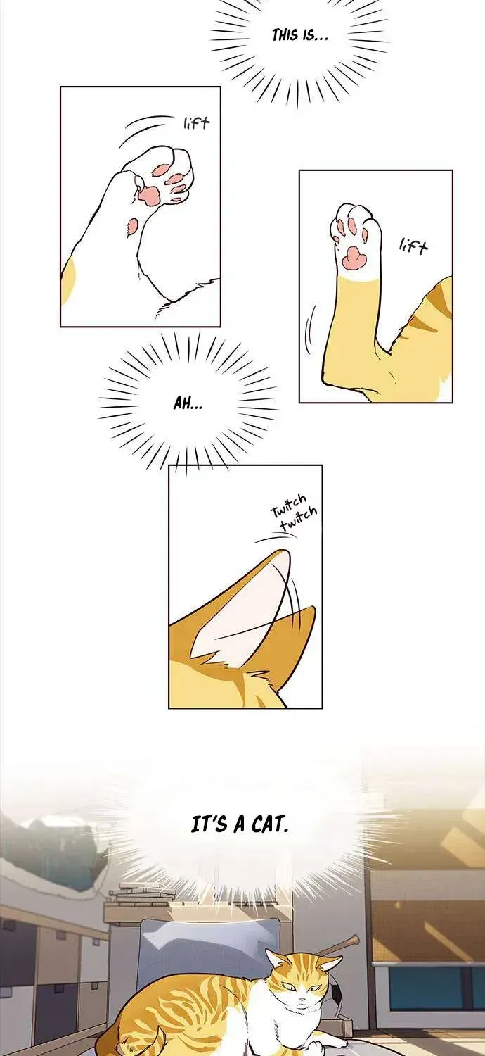 Eleceed Chapter 1.2 page 36 - 