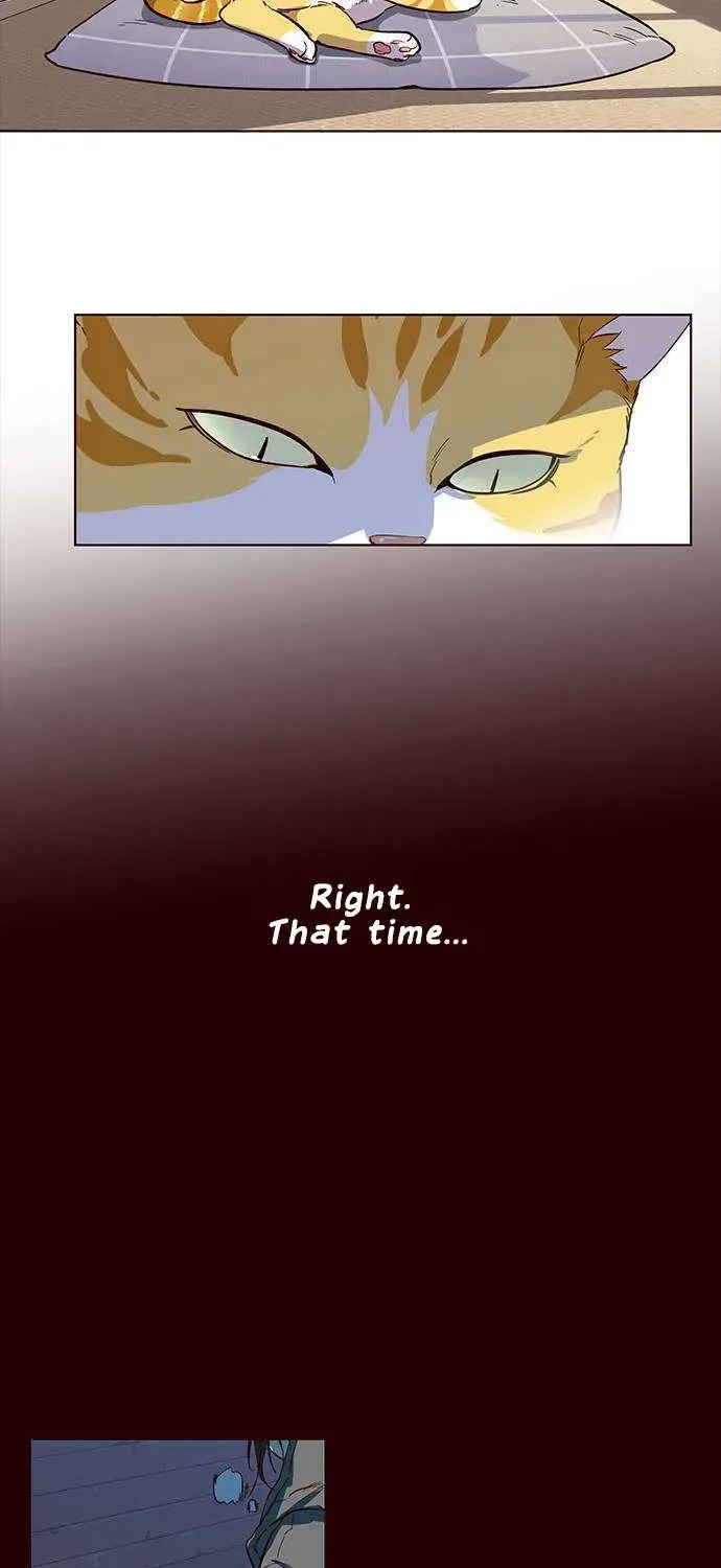 Eleceed Chapter 1.2 page 37 - 