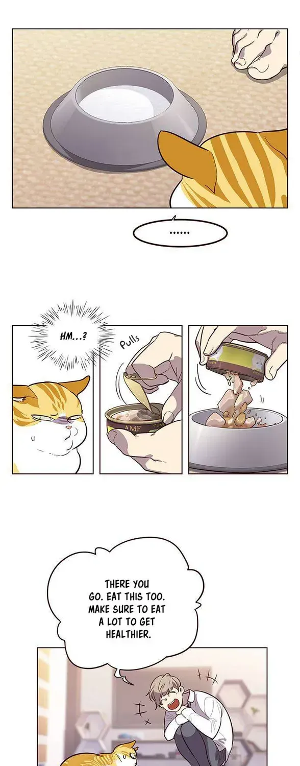 Eleceed Chapter 1.2 page 46 - 