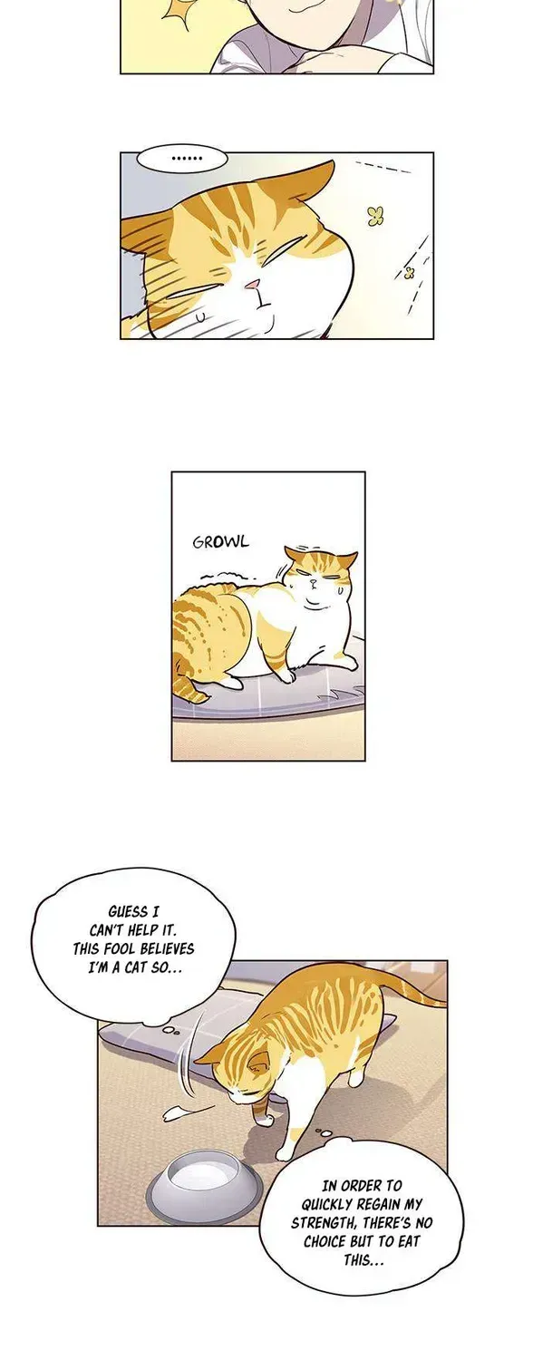Eleceed Chapter 1.2 page 48 - 