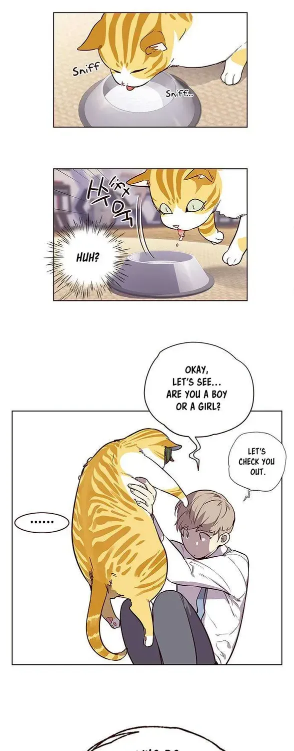 Eleceed Chapter 1.2 page 49 - 