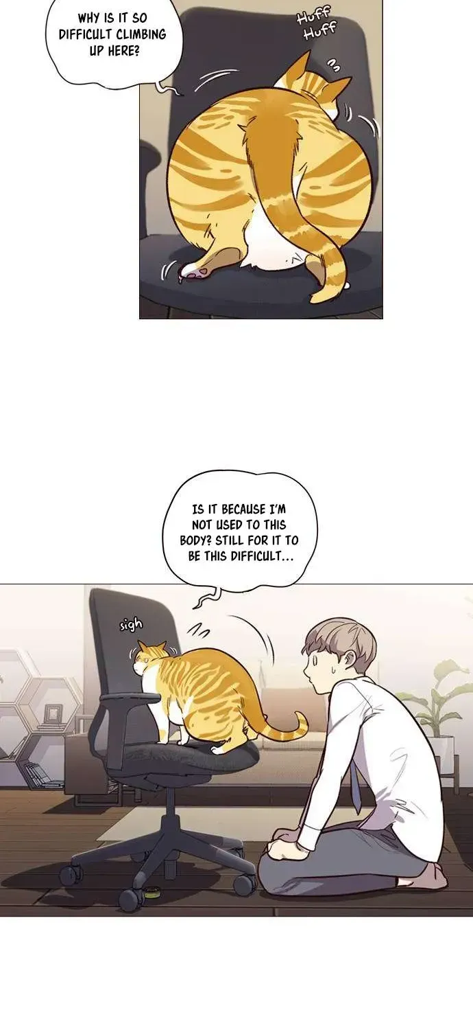 Eleceed Chapter 1.2 page 58 - 