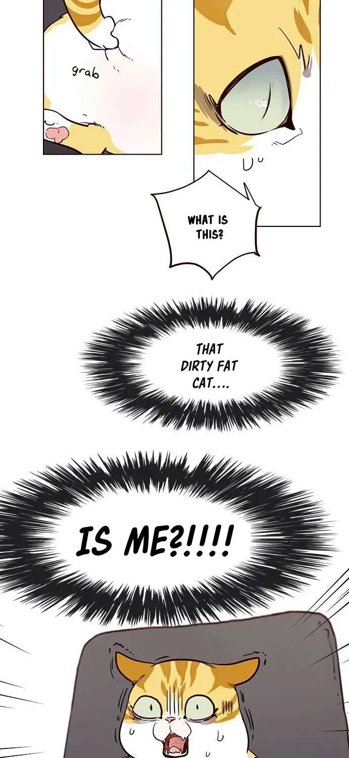Eleceed Chapter 1.2 page 62 - 