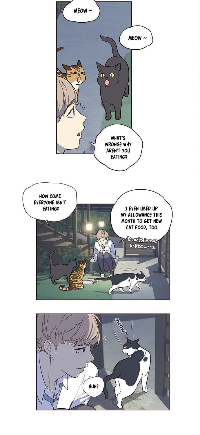 Eleceed Chapter 1 page 30 - 