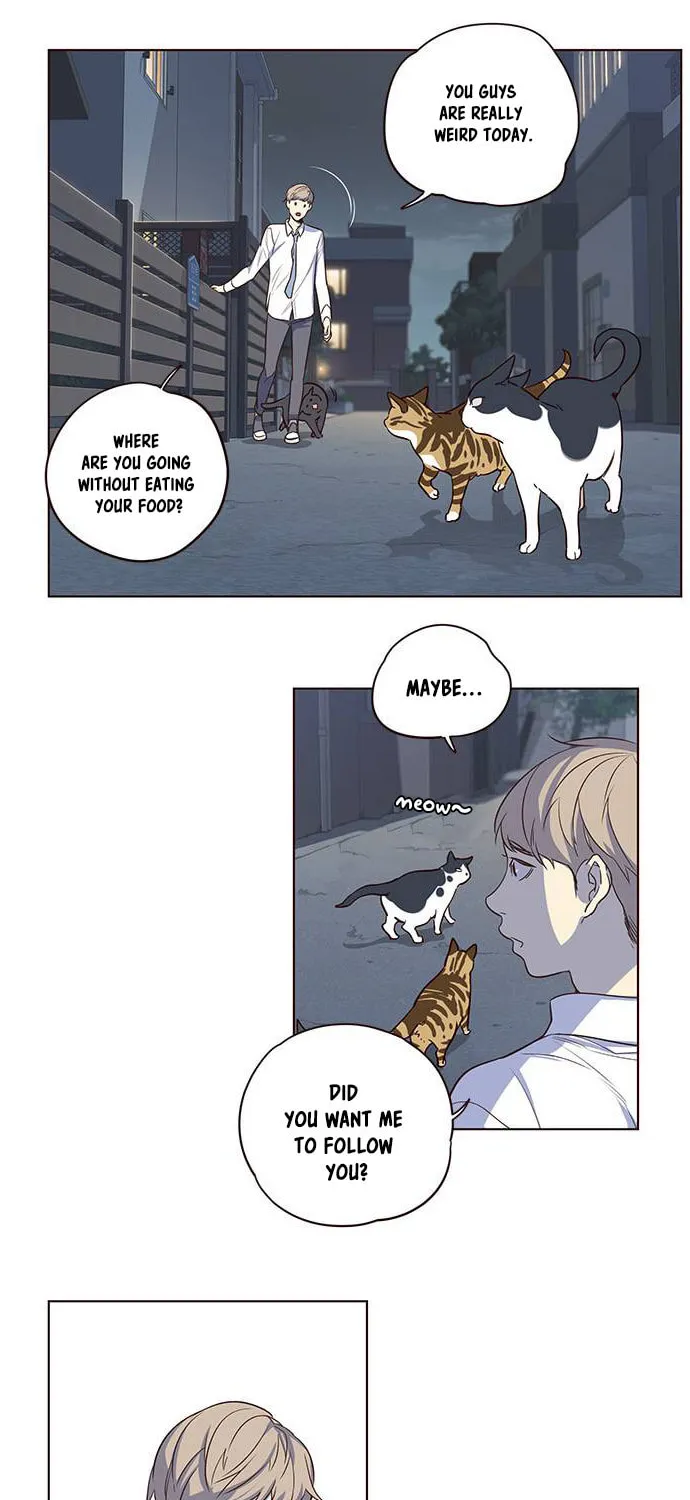 Eleceed Chapter 1 page 31 - 