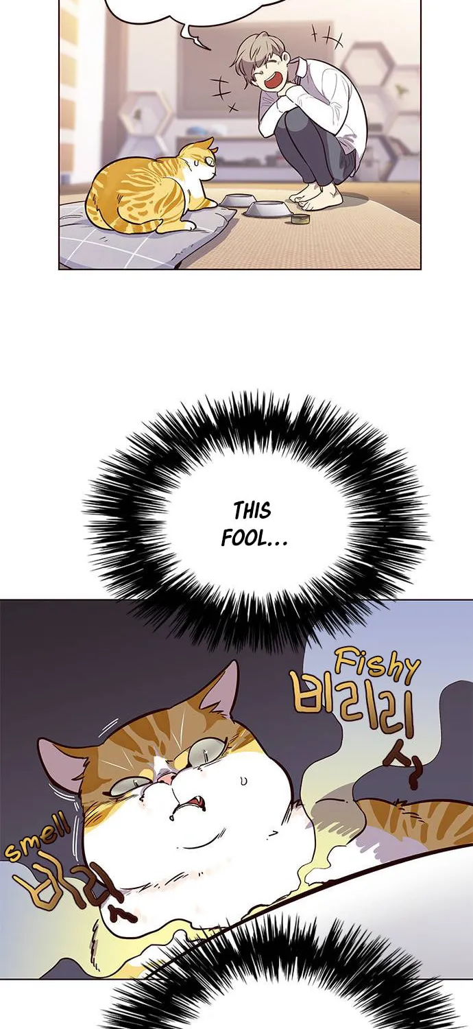 Eleceed Chapter 1 page 47 - 