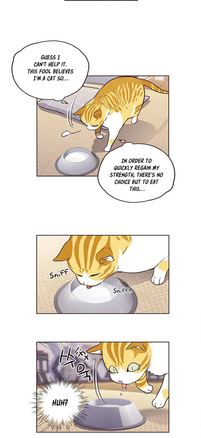 Eleceed Chapter 1 page 49 - 