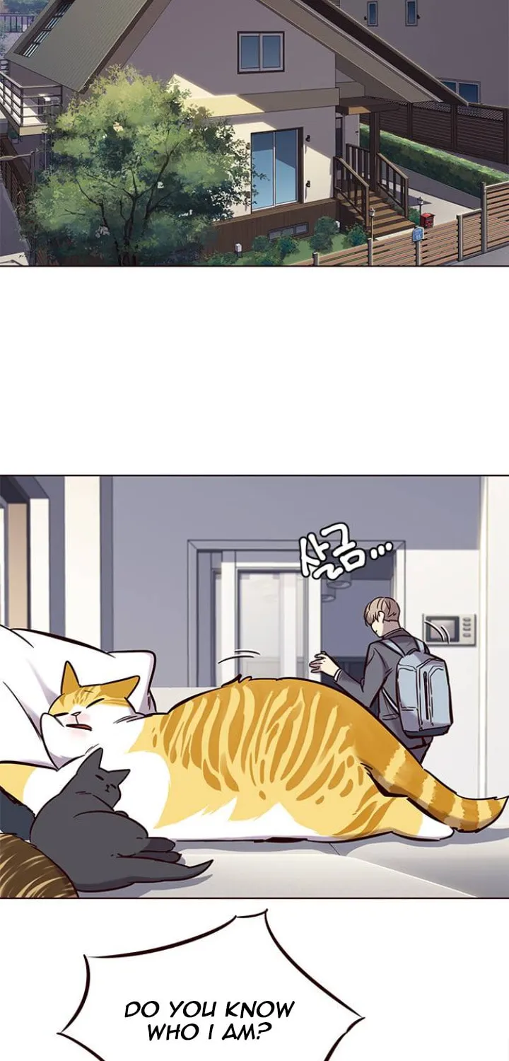Eleceed Chapter 100 page 3 - 