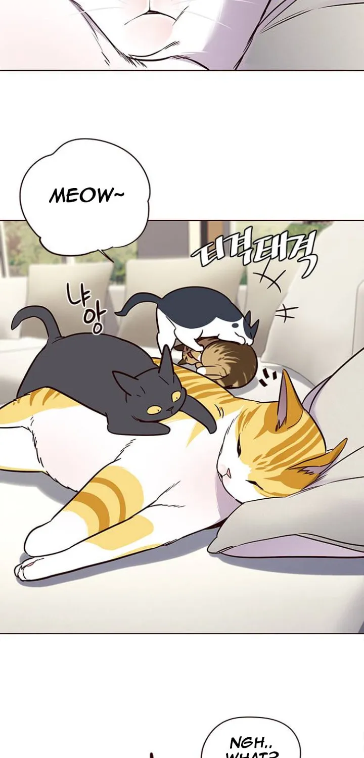 Eleceed Chapter 101 page 3 - 