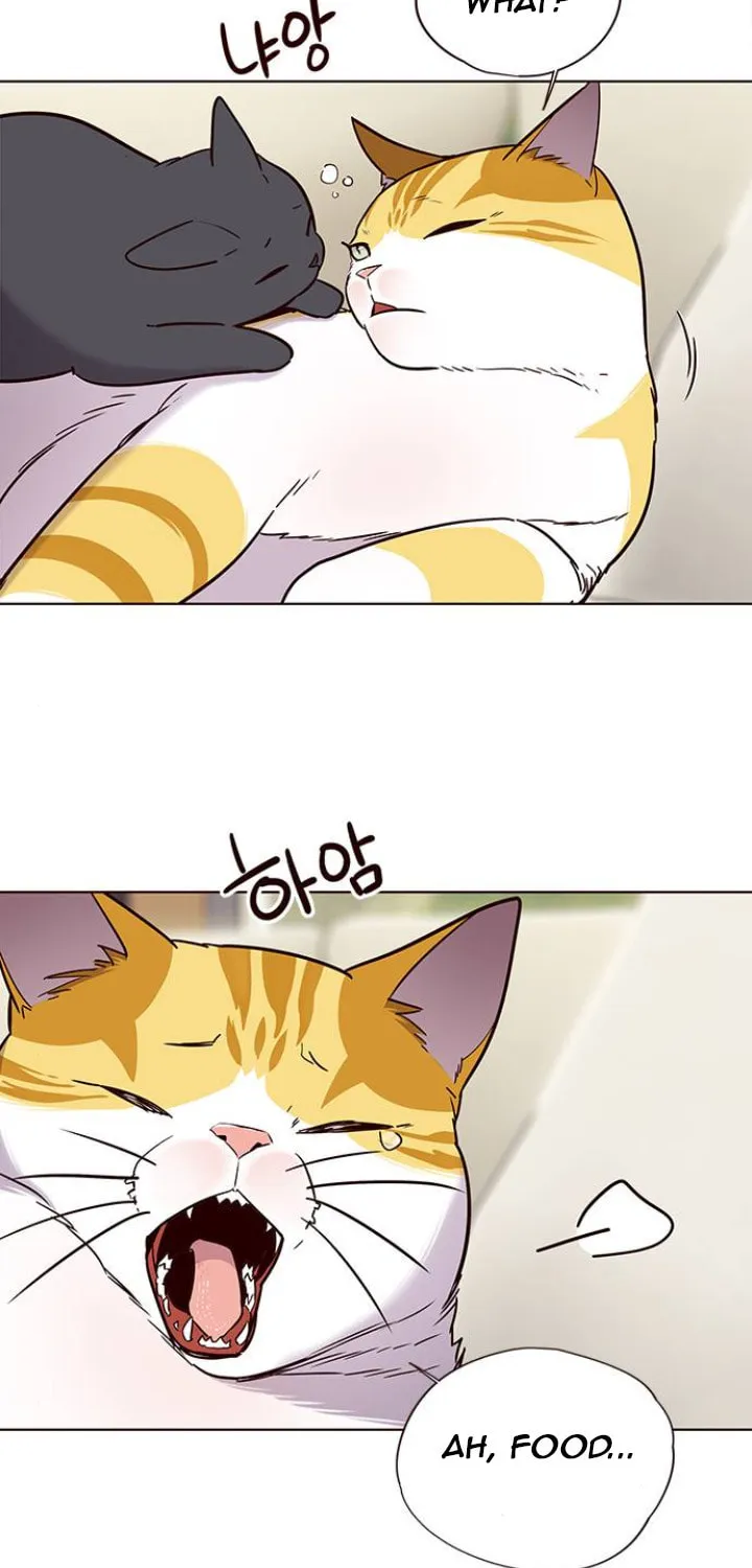 Eleceed Chapter 101 page 4 - 