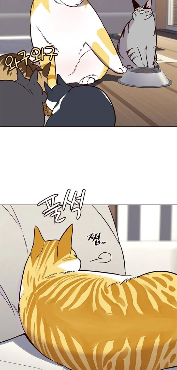 Eleceed Chapter 101 page 6 - 
