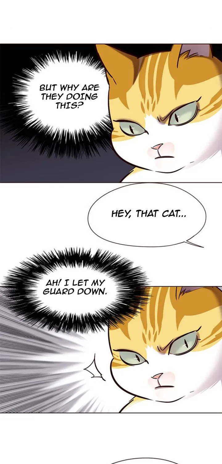 Eleceed Chapter 105 page 11 - 