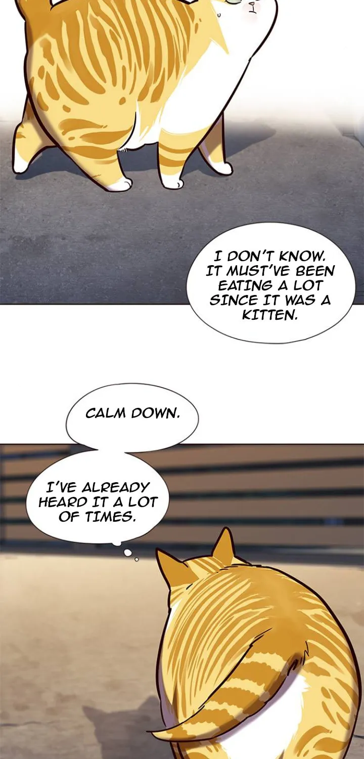 Eleceed Chapter 105 page 13 - 