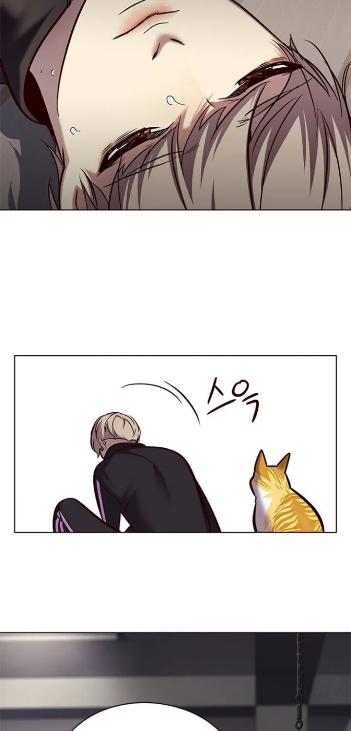 Eleceed Chapter 116 page 6 - 