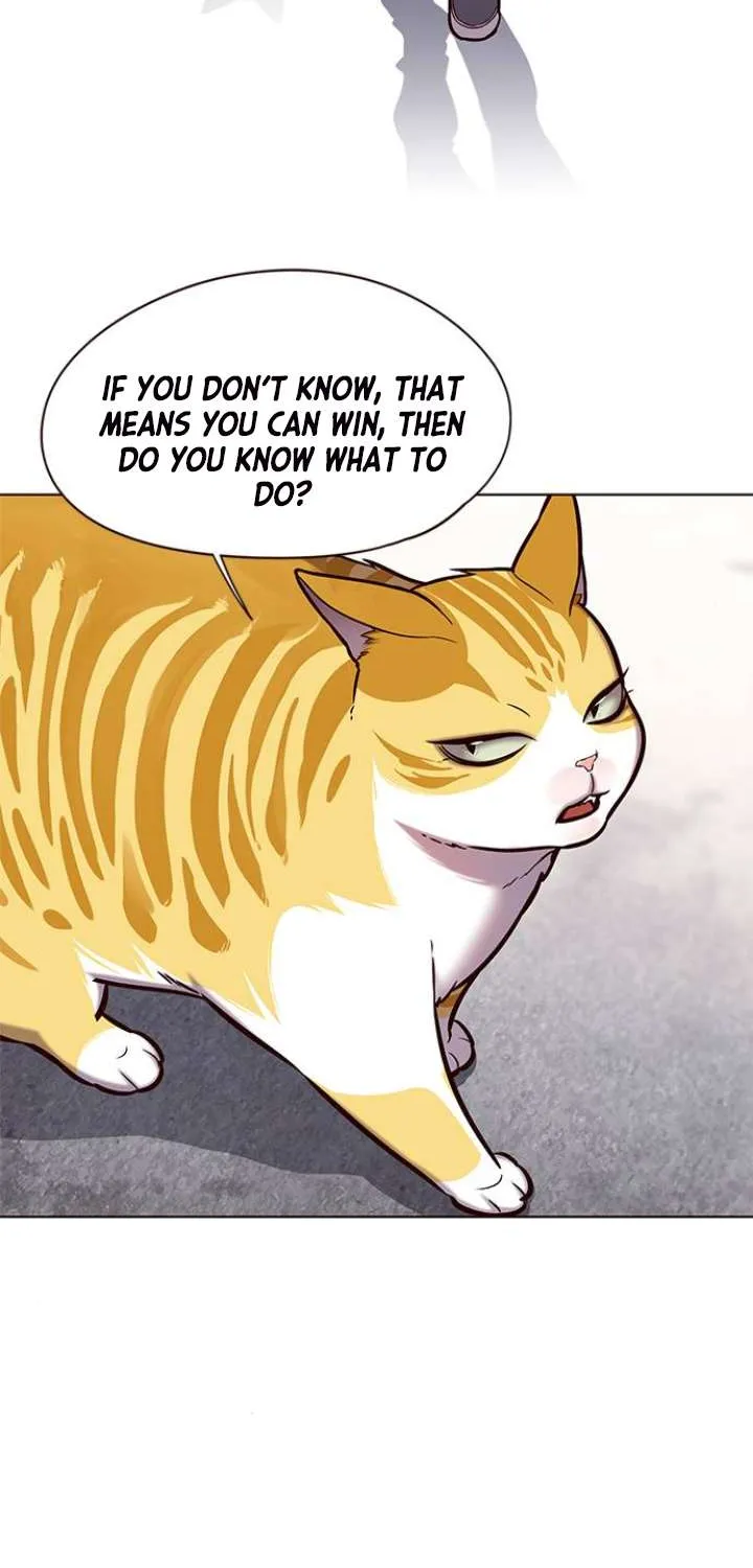 Eleceed Chapter 117.1 page 41 - 