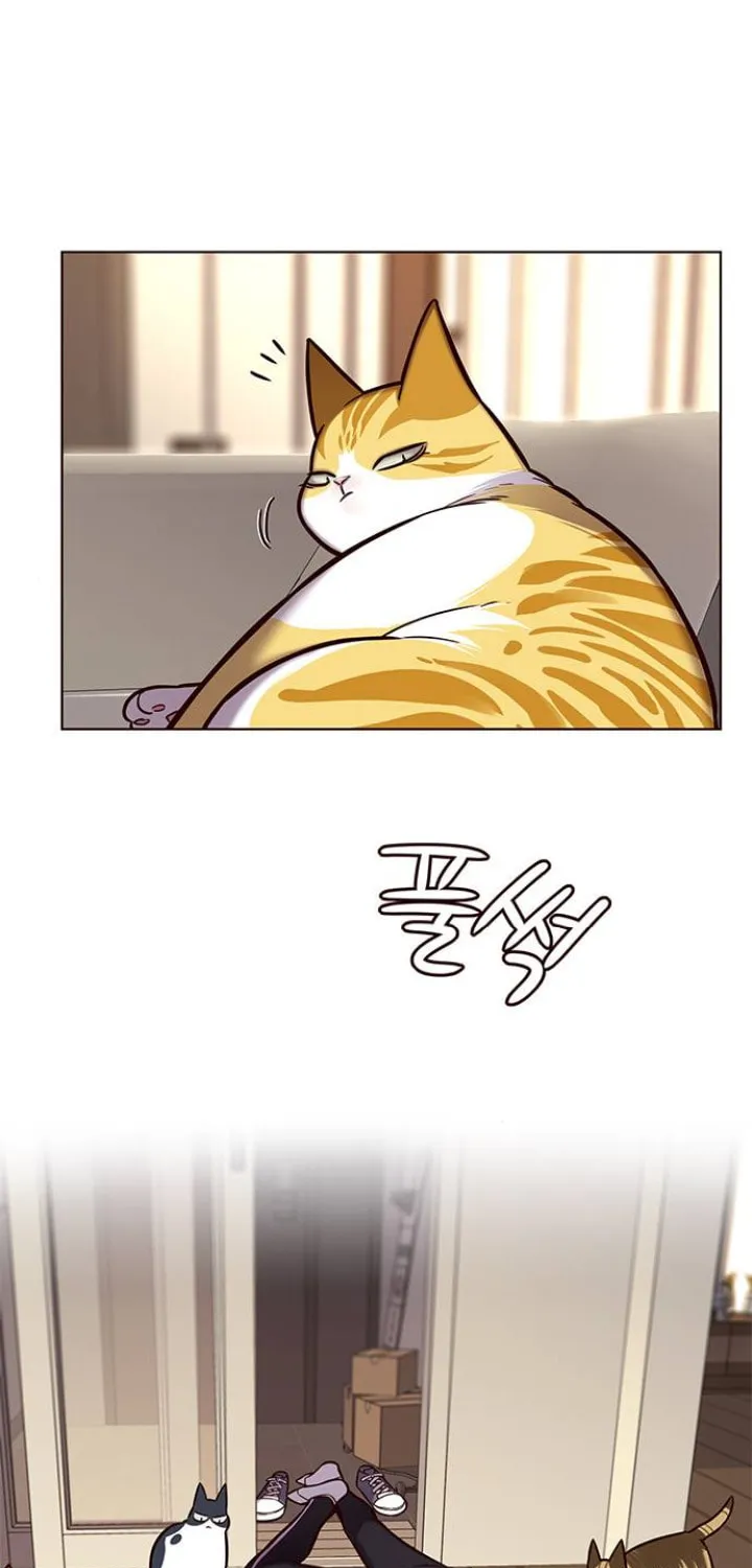 Eleceed Chapter 118 page 50 - 