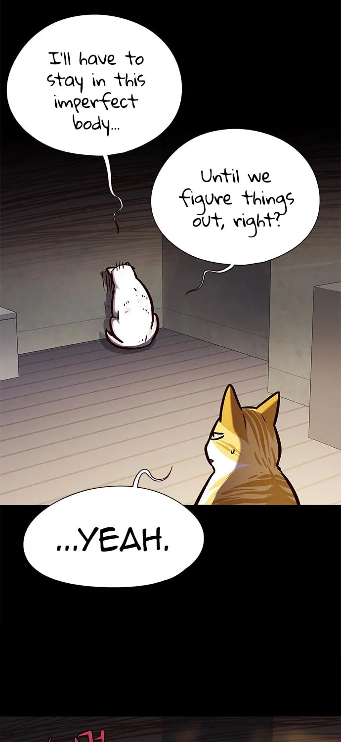 Eleceed Chapter 142 page 12 - 