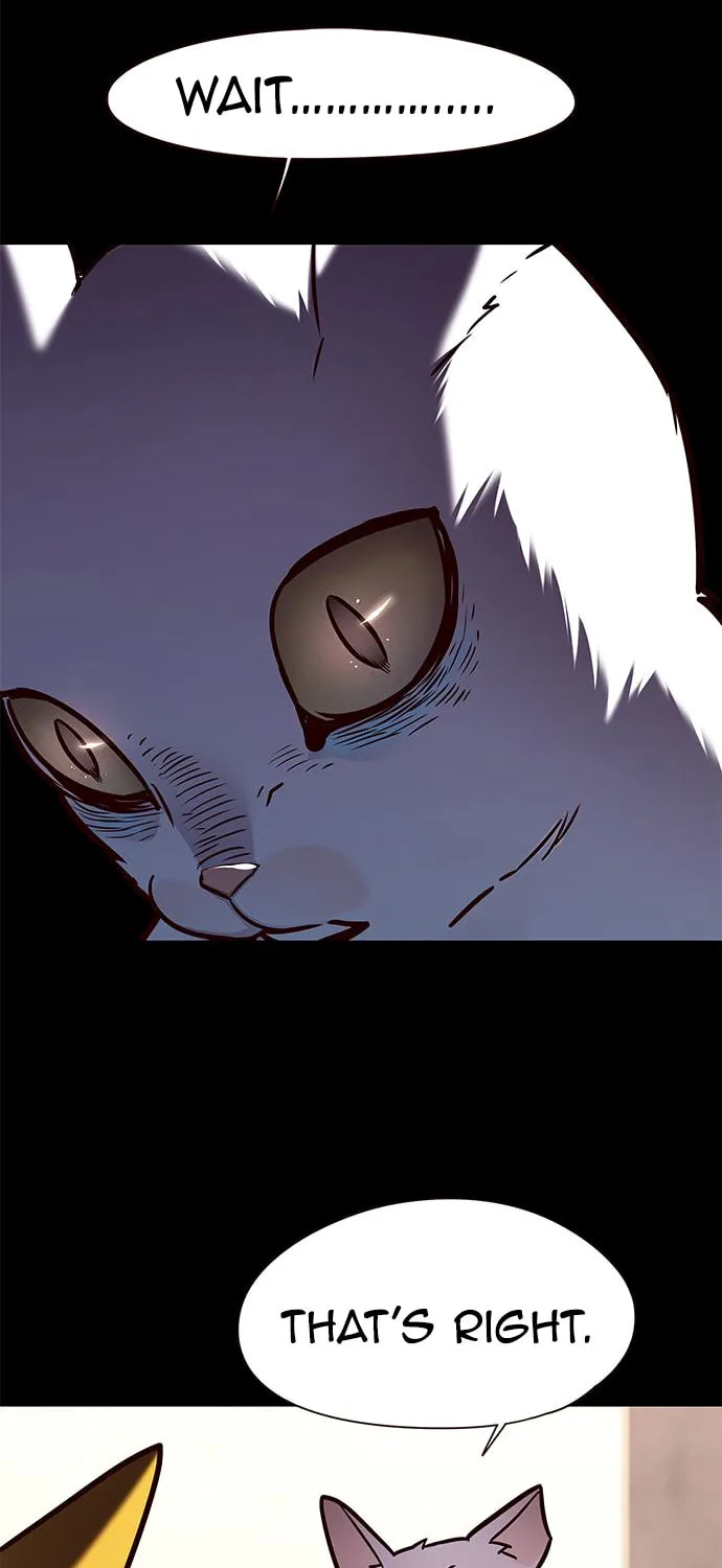 Eleceed Chapter 142 page 14 - 