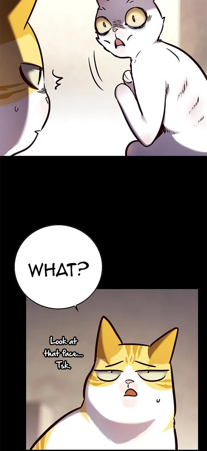 Eleceed Chapter 142 page 15 - 