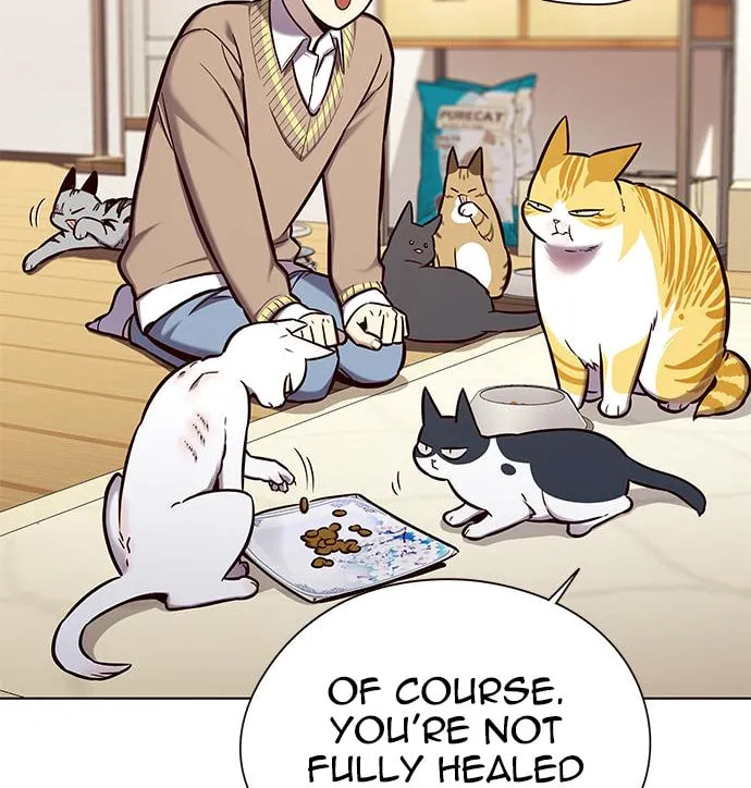 Eleceed Chapter 143 page 45 - 