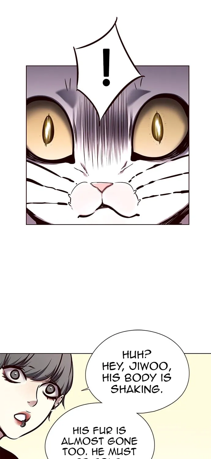 Eleceed Chapter 143 page 58 - 