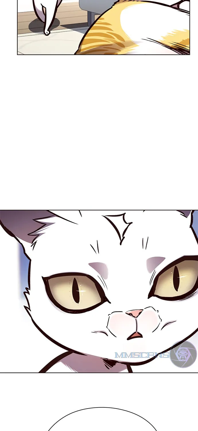 Eleceed Chapter 144 page 20 - 
