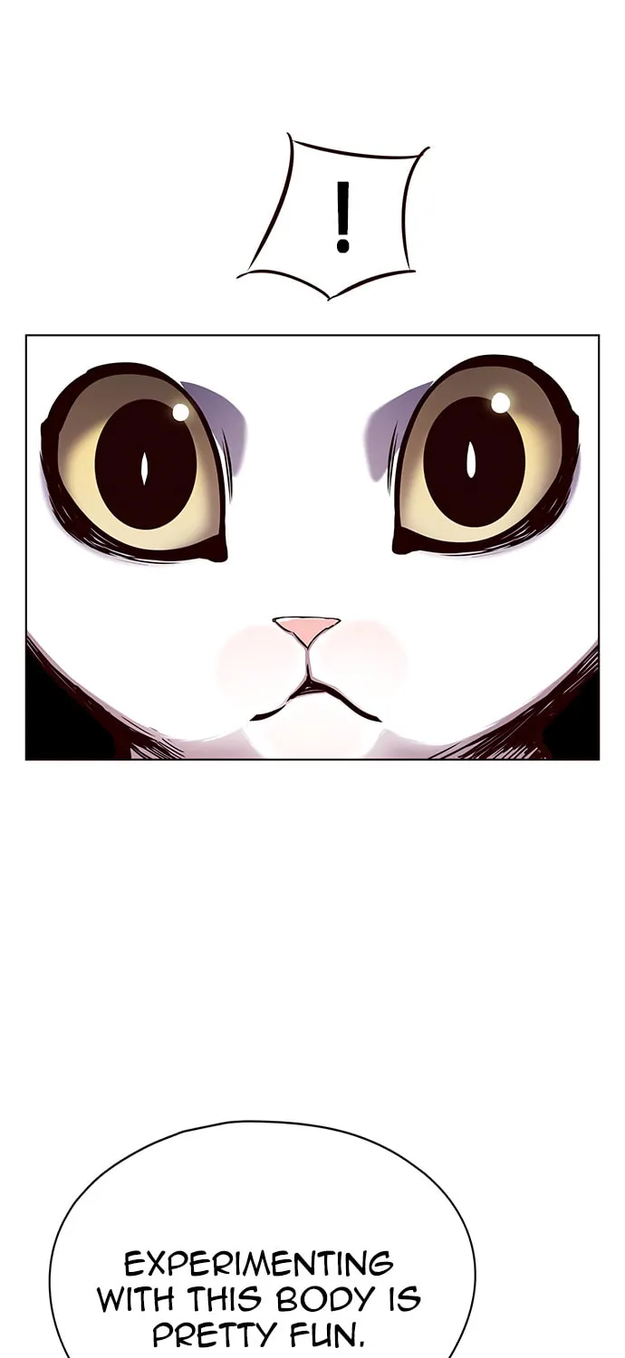 Eleceed Chapter 144 page 23 - 