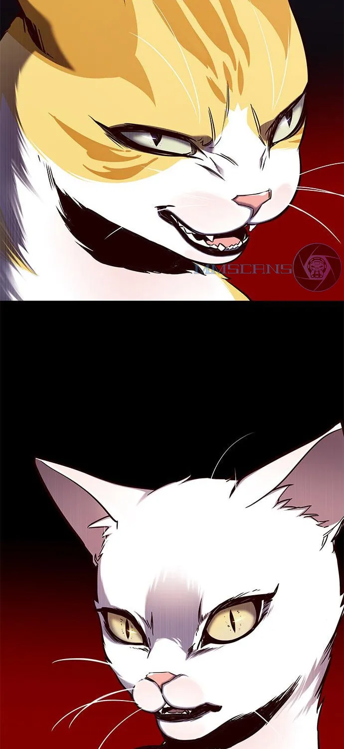 Eleceed Chapter 146 page 50 - 