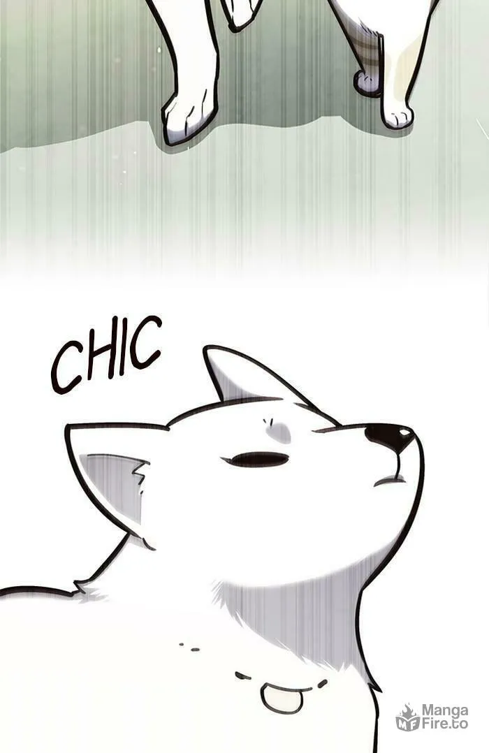 Eleceed Chapter 161 page 93 - 