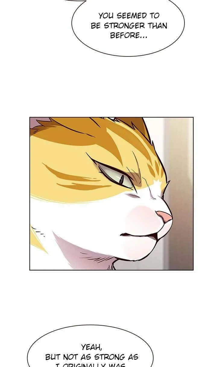 Eleceed Chapter 164 page 26 - 