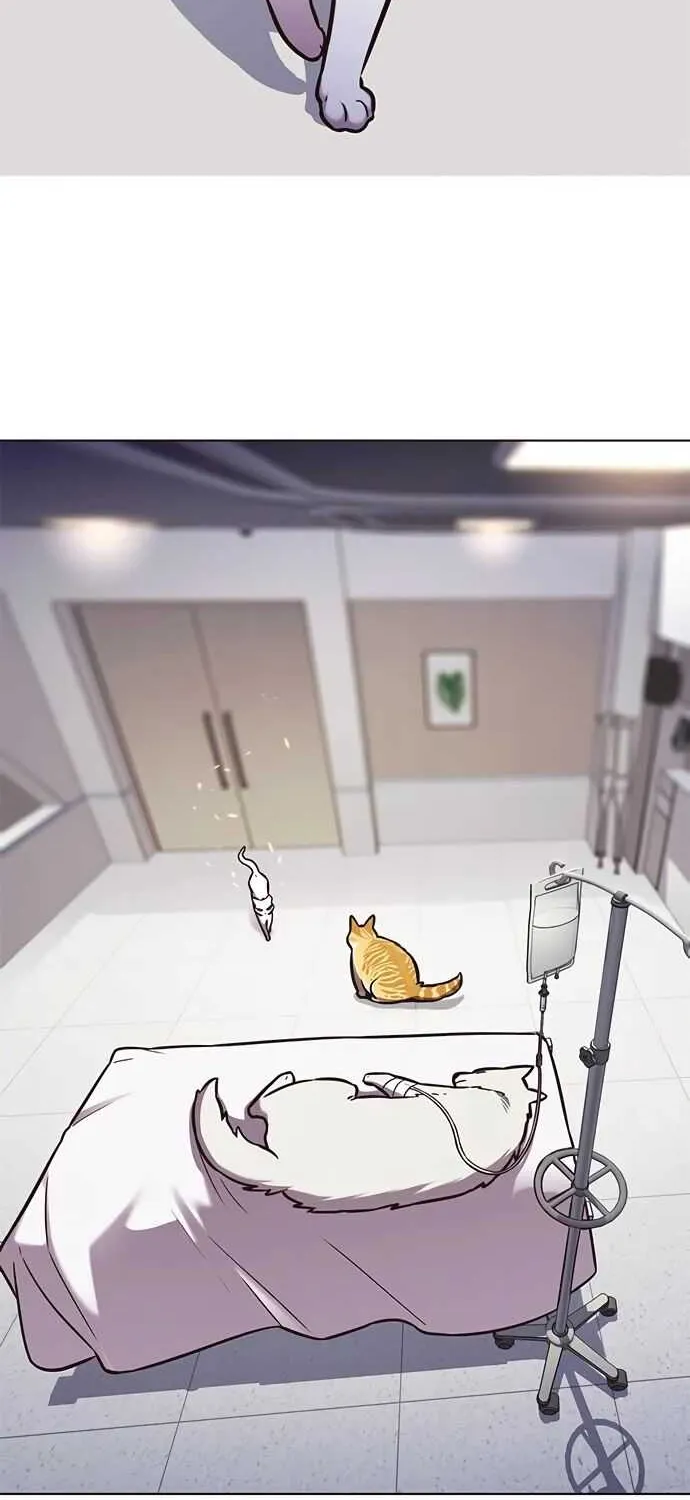 Eleceed Chapter 166.2 page 9 - 