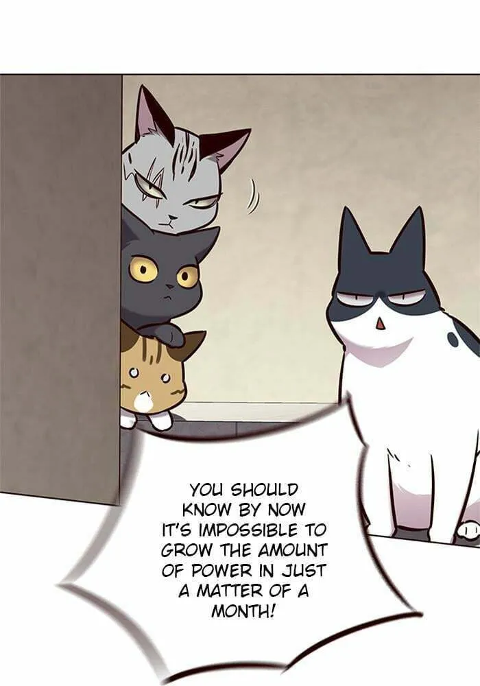 Eleceed Chapter 174 page 61 - 