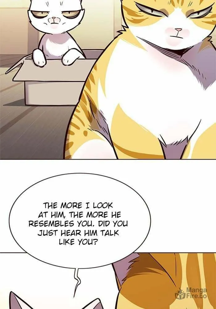 Eleceed Chapter 174 page 75 - 