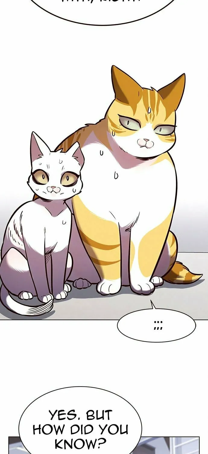 Eleceed Chapter 188 page 35 - 