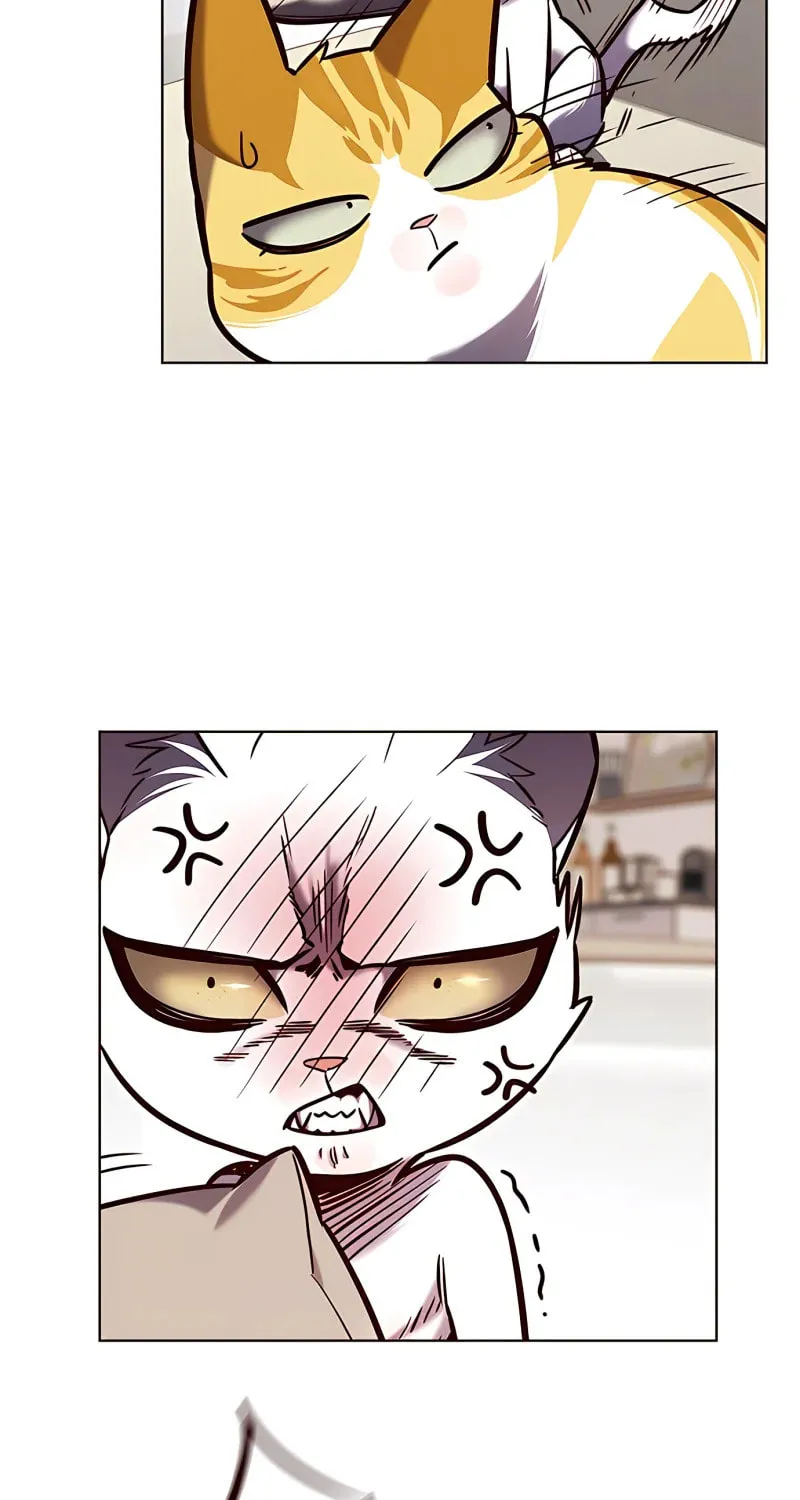 Eleceed Chapter 190 page 7 - 