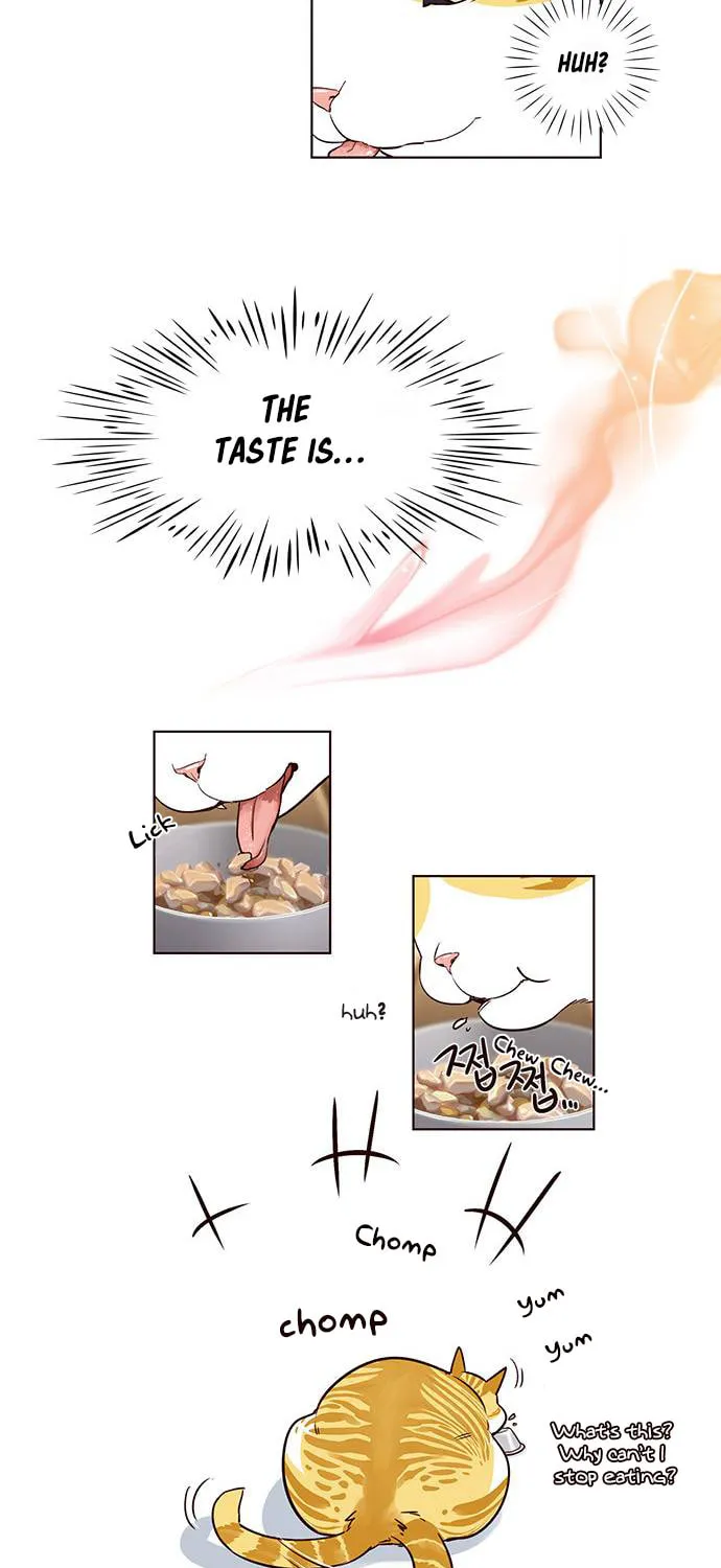 Eleceed Chapter 2 page 18 - 
