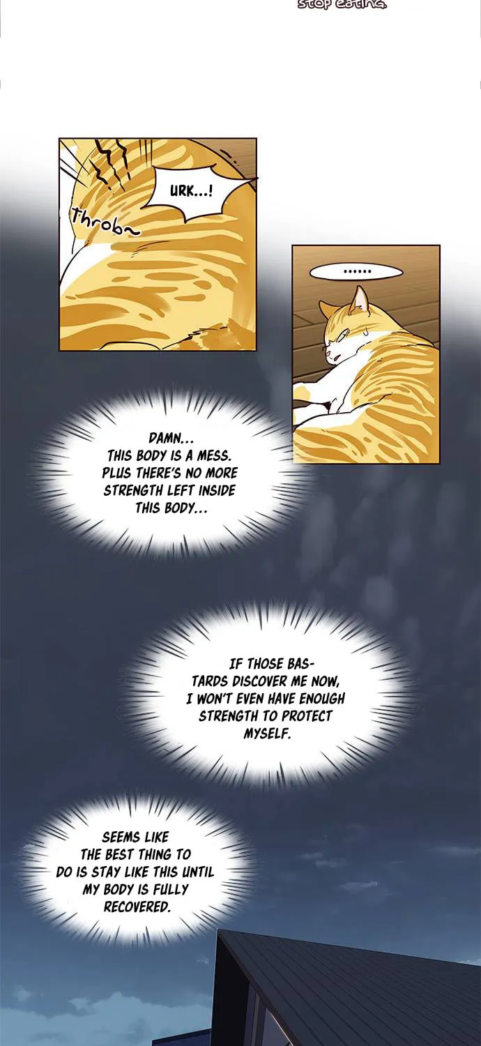 Eleceed Chapter 2 page 20 - 