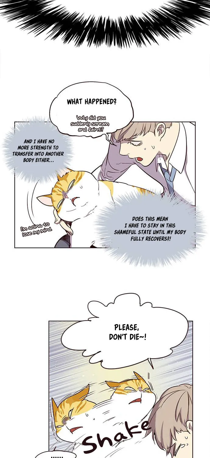 Eleceed Chapter 2 page 5 - 
