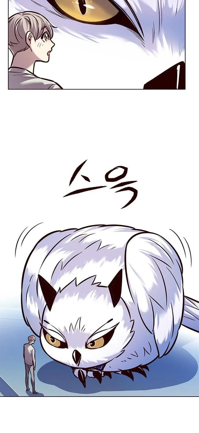 Eleceed Chapter 222 page 47 - 
