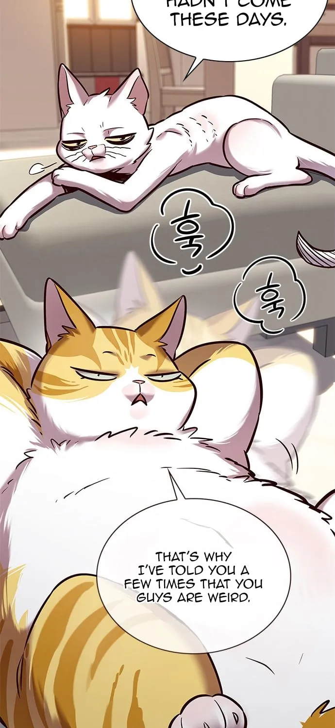 Eleceed Chapter 225 page 56 - 
