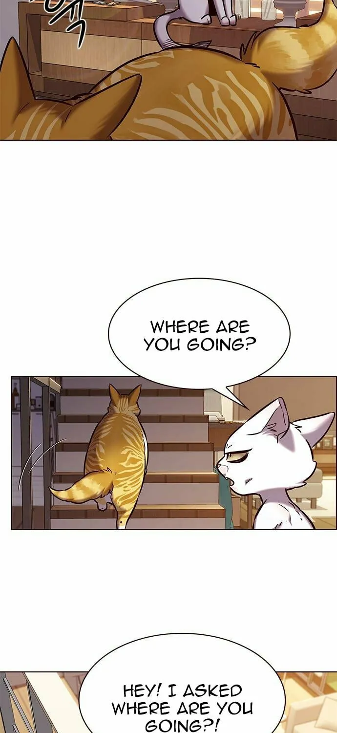 Eleceed Chapter 241 page 81 - 