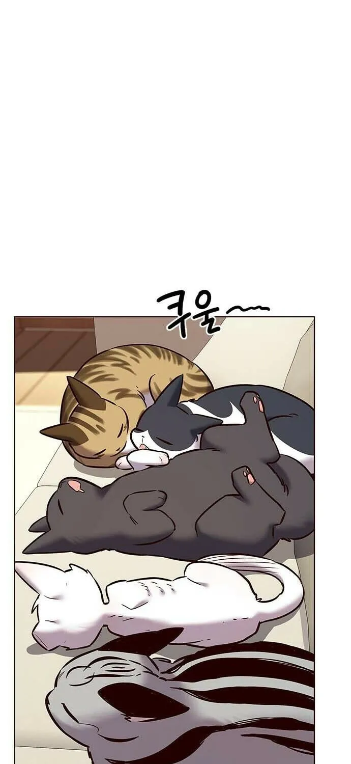 Eleceed Chapter 243 page 76 - 