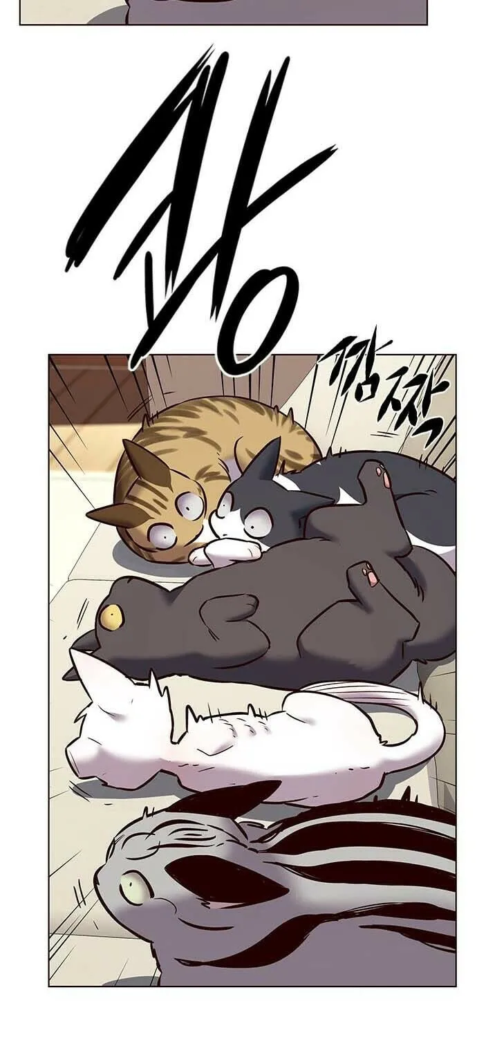 Eleceed Chapter 243 page 77 - 