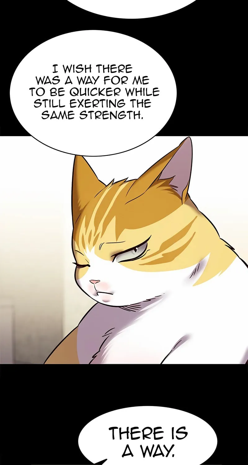 Eleceed Chapter 244 page 25 - 