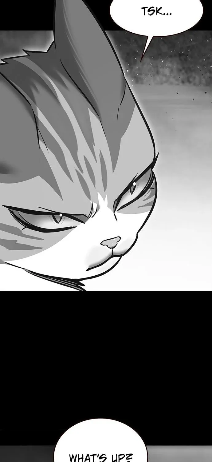 Eleceed Chapter 261 page 6 - 