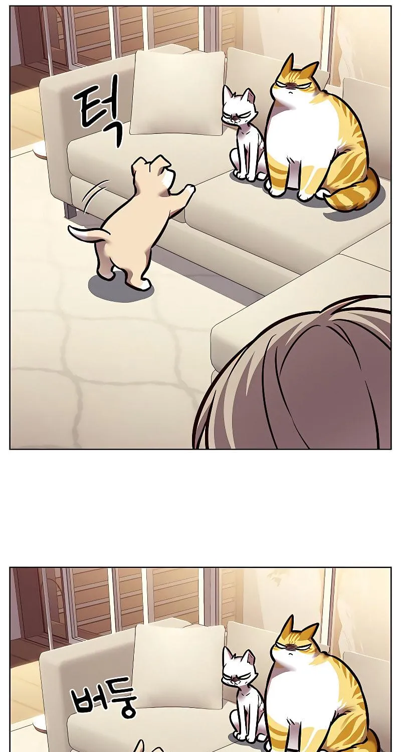 Eleceed Chapter 279 page 158 - 