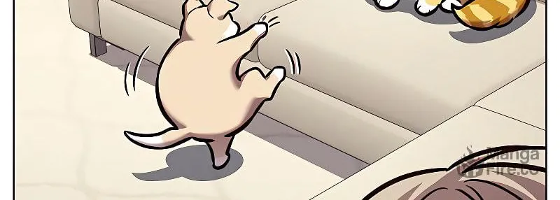 Eleceed Chapter 279 page 159 - 