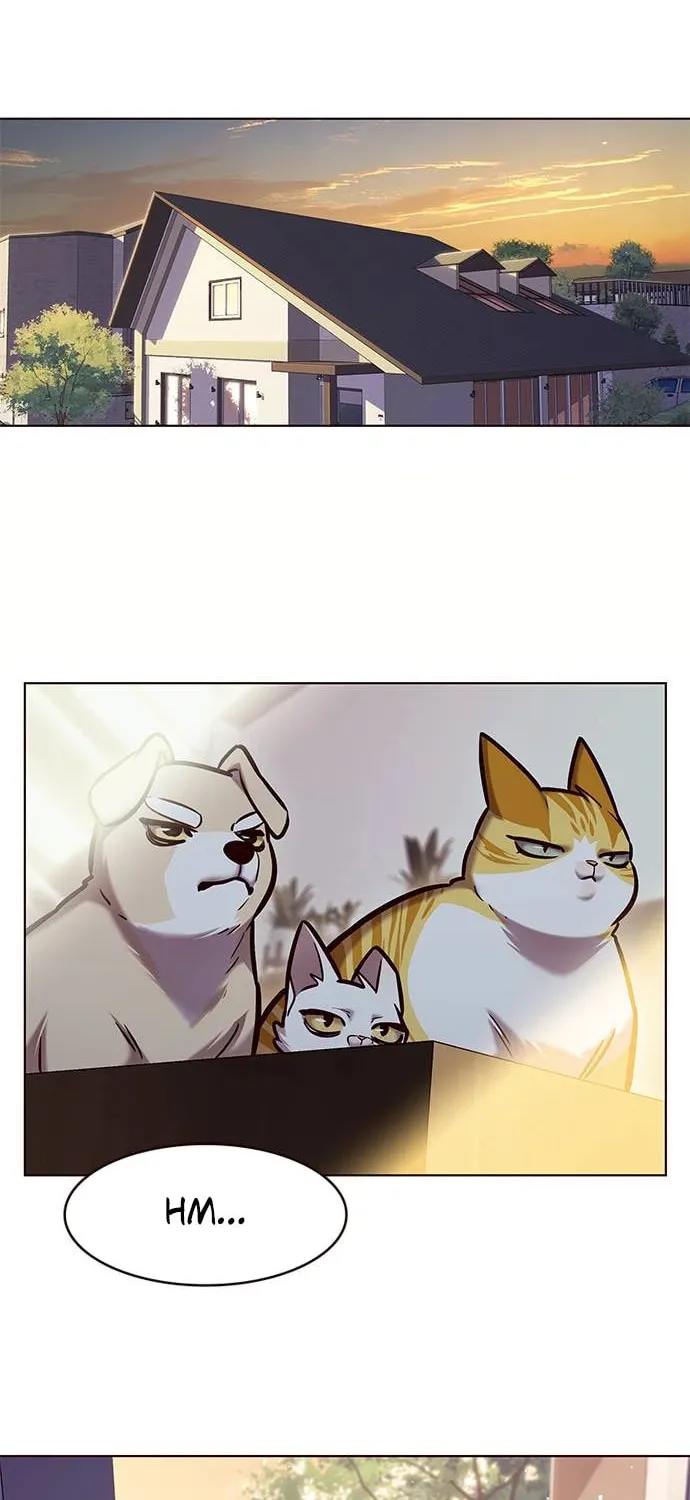 Eleceed Chapter 282 page 3 - 